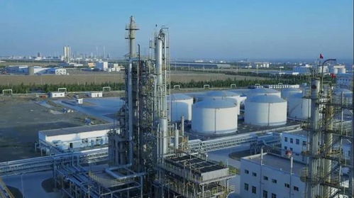 砥礪奮進(jìn)五年間 奎屯—獨(dú)山子經(jīng)濟(jì)技術(shù)開發(fā)區(qū)榮獲兩項(xiàng)國家級(jí)殊榮，技術(shù)轉(zhuǎn)讓成果顯著