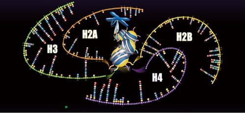 聚焦蛋白質(zhì)組學(xué)技術(shù)開發(fā)與應(yīng)用，景杰生物完成5.3億元B輪融資以加速技術(shù)推廣