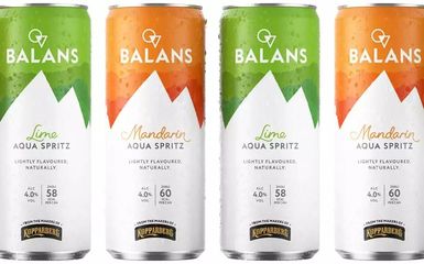 低/無(wú)酒精市場(chǎng)前景廣闊，飲料品牌紛紛布局，保健食品銷(xiāo)售迎新機(jī)遇