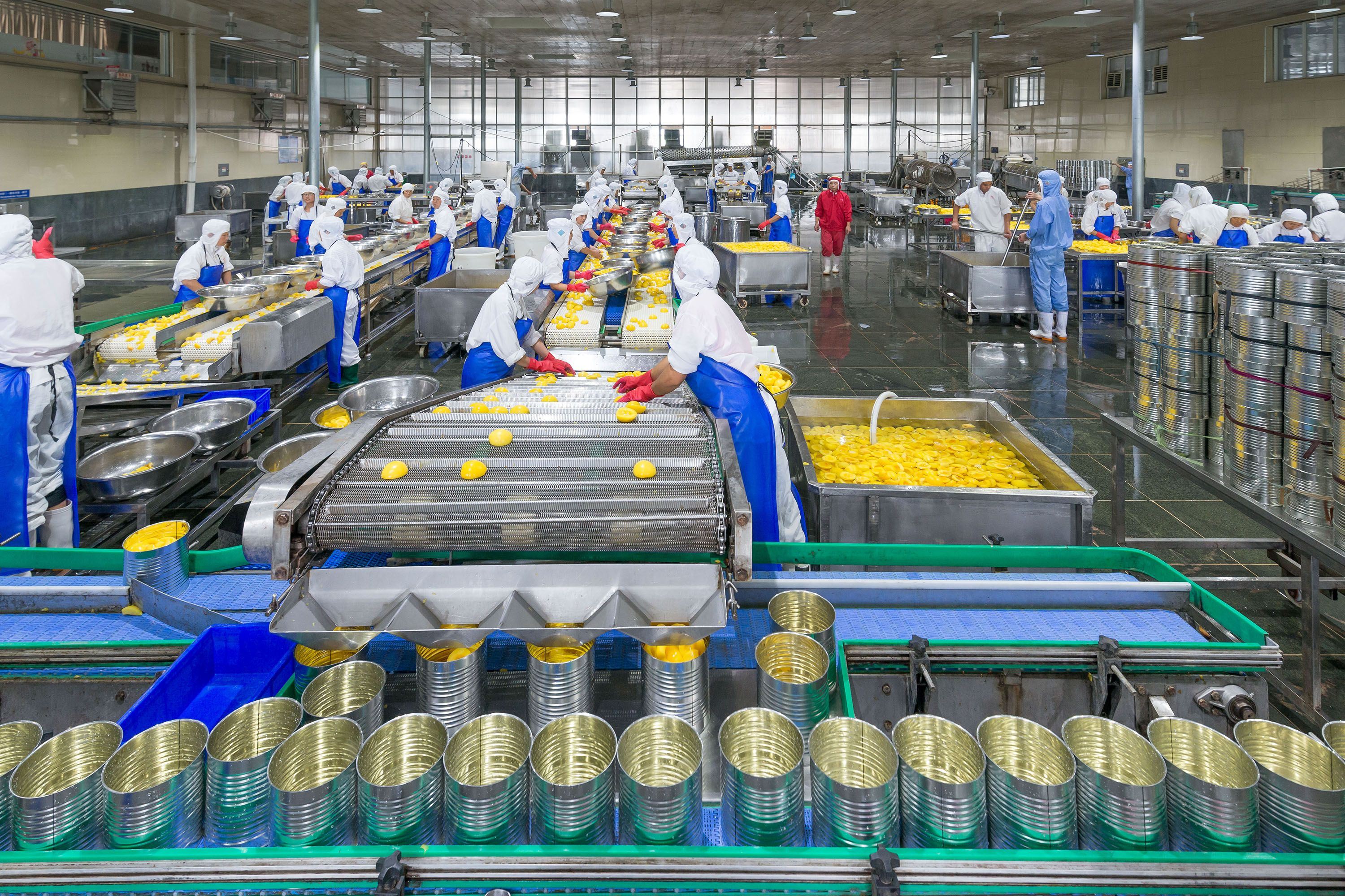 訂單暴漲十倍 山東小鎮(zhèn)生產(chǎn)出全國三成的黃桃罐頭